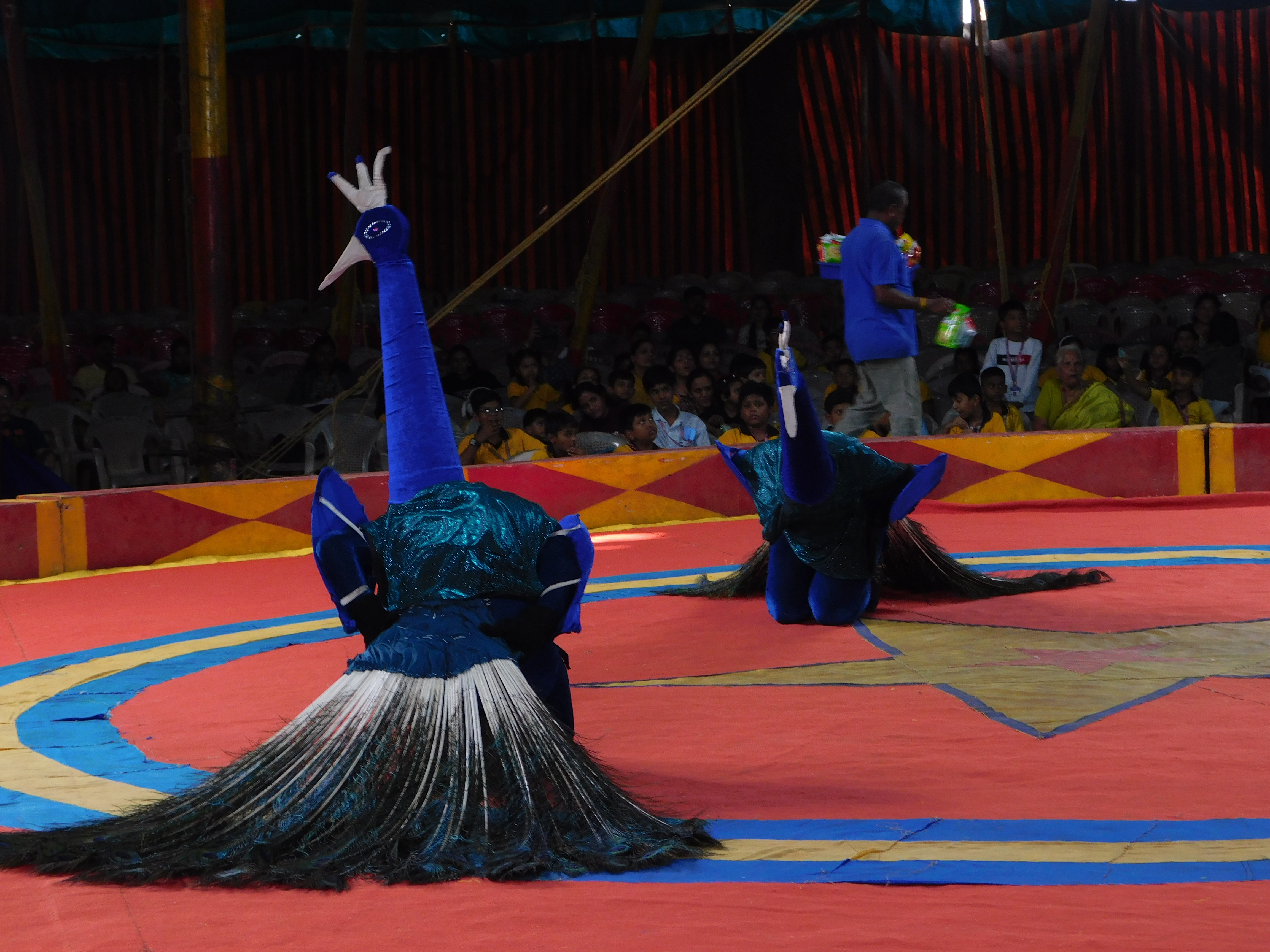 Circus image 1