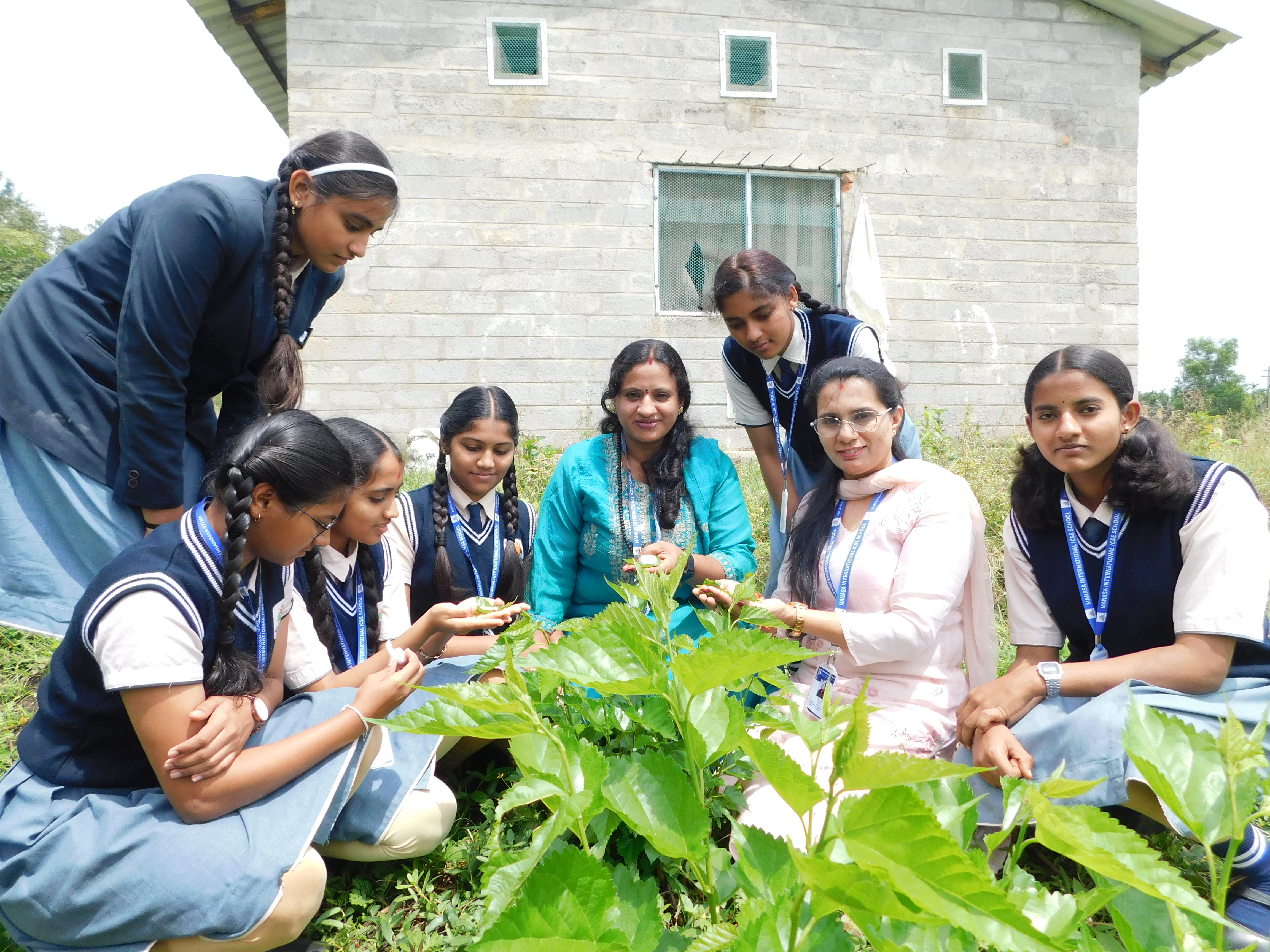 Sericulture Image 4