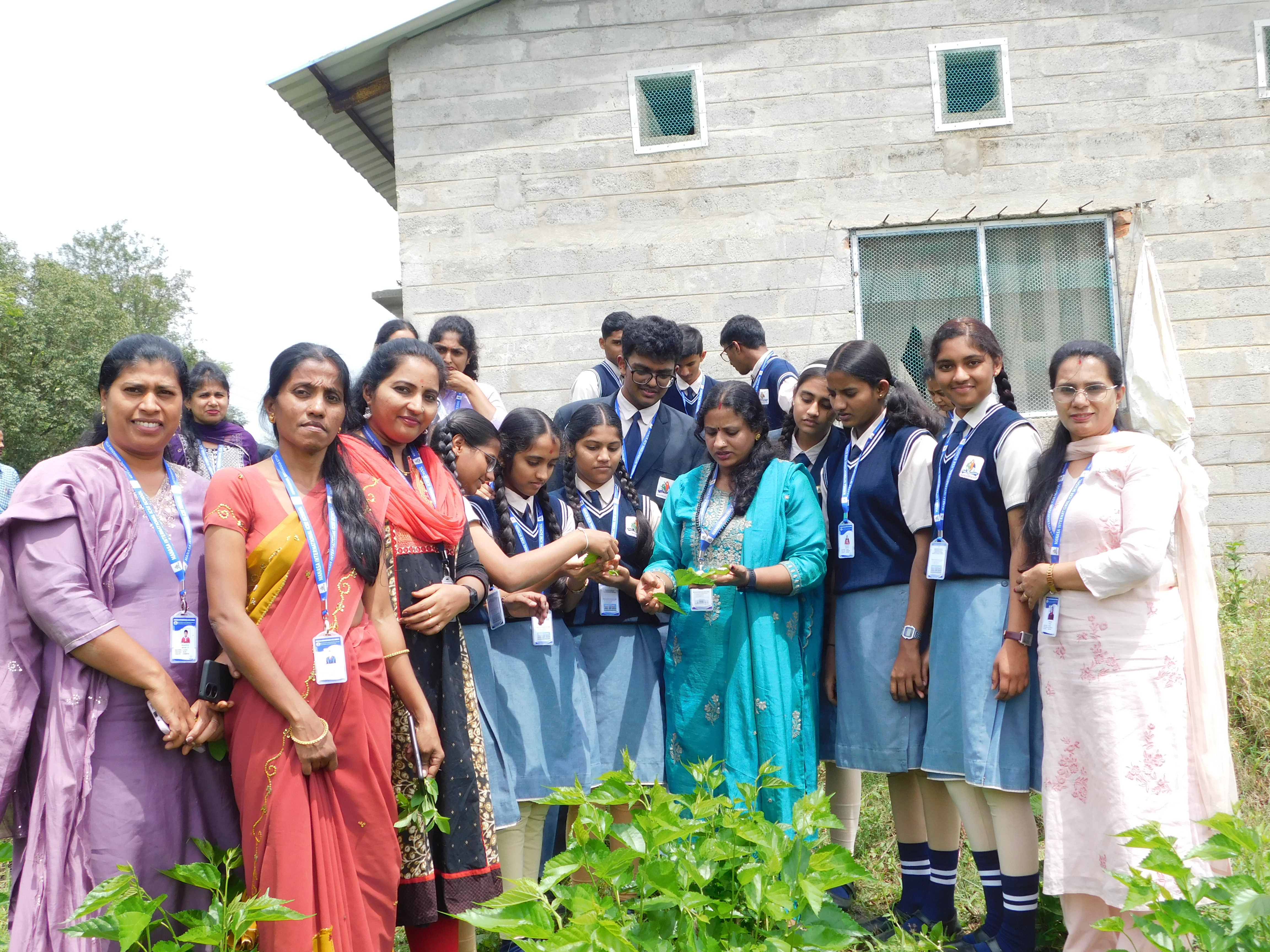 Sericulture Image 6